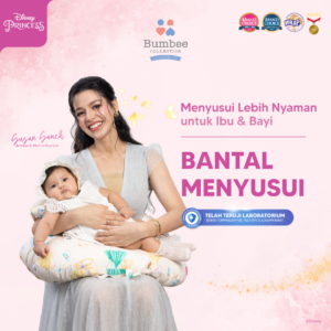 Bantal Menyusui
