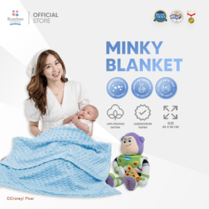 Minky Blanket 2 Lapis